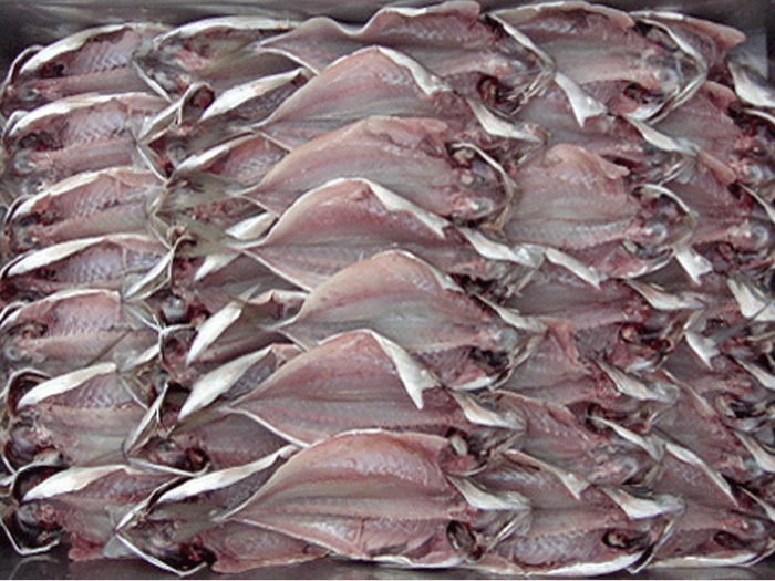 竹莢魚片マアヅ