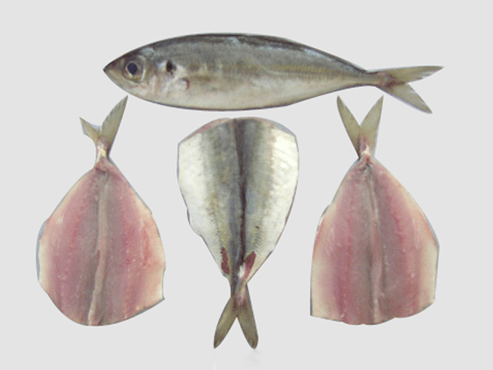 竹莢魚片マアヅ