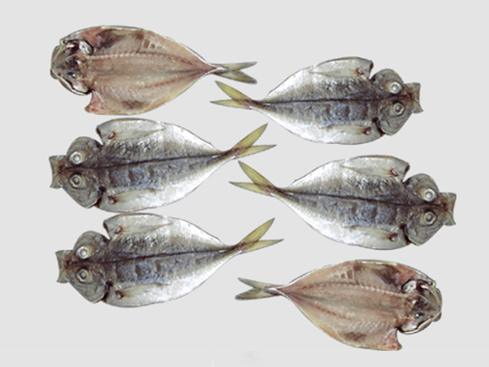 竹莢魚片（一夜干）マアヅ